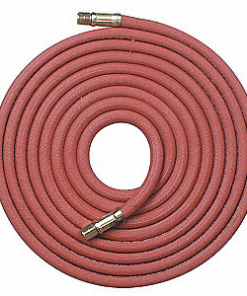 TORCH LINES